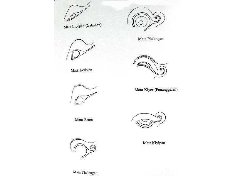 eye types-sunarto 94